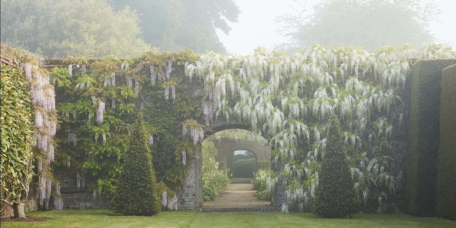 Discover card cover image