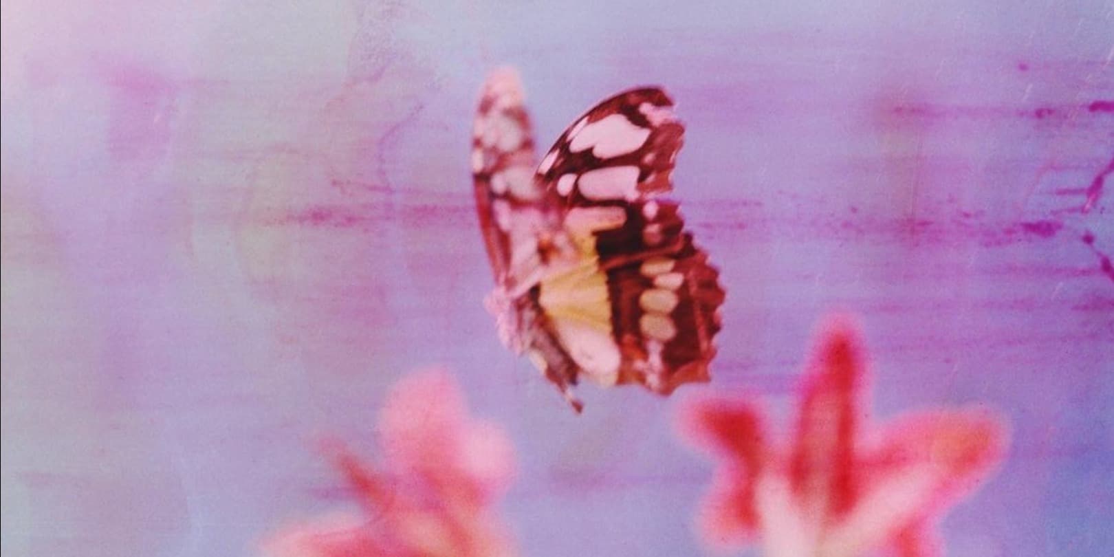 Discover card cover image